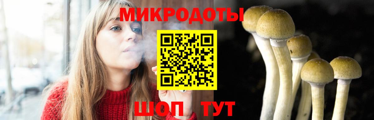 Псилоцибиновые грибы GOLDEN TEACHER  Вход с VPN  наркотики  Уварово 